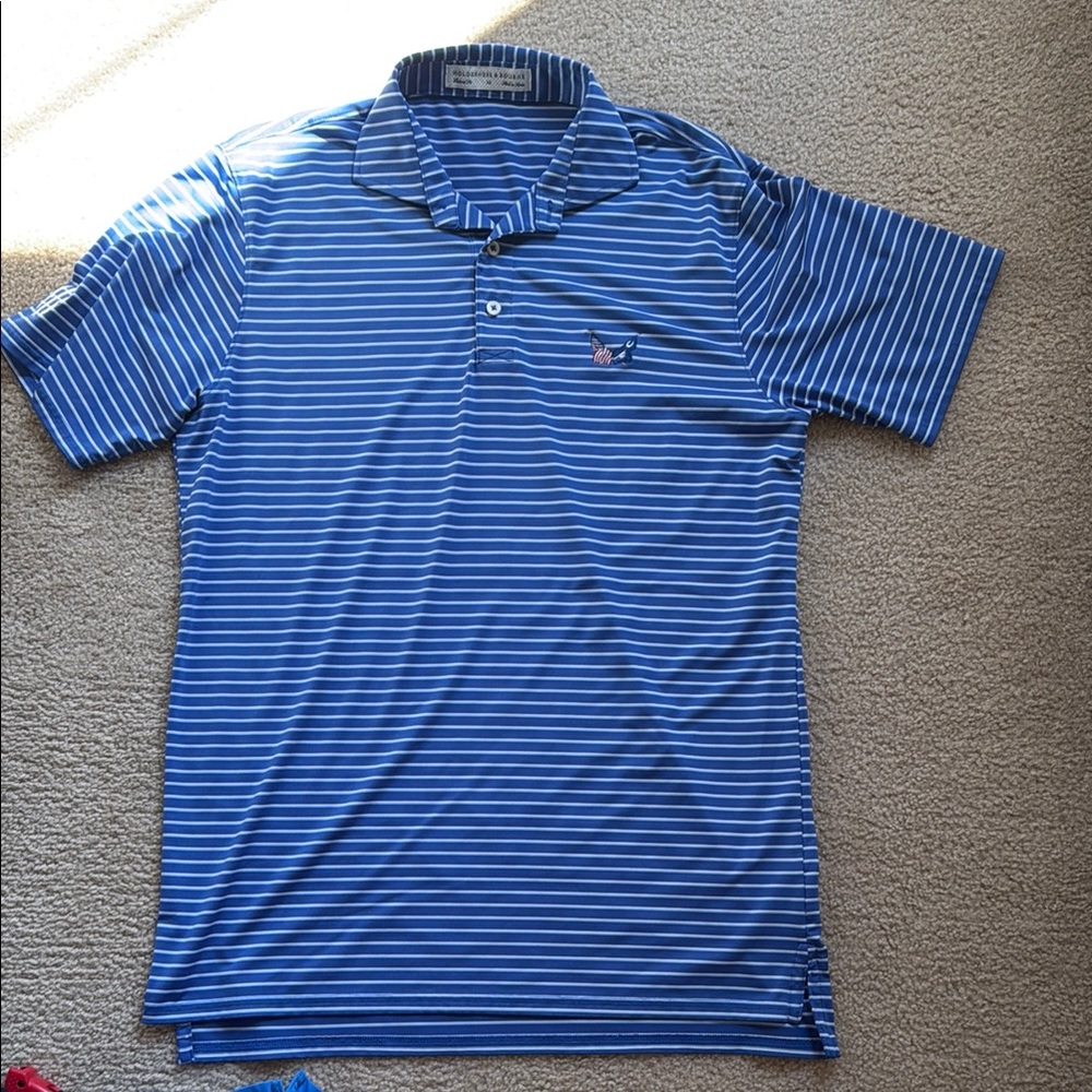 Blue Striped Polo Shirt